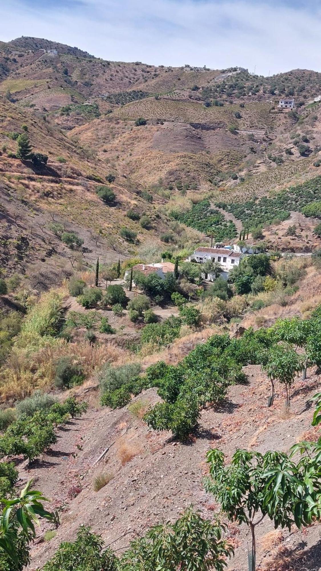 Cortijo Lagar De Luisa Casa de hóspedes Borge Exterior foto
