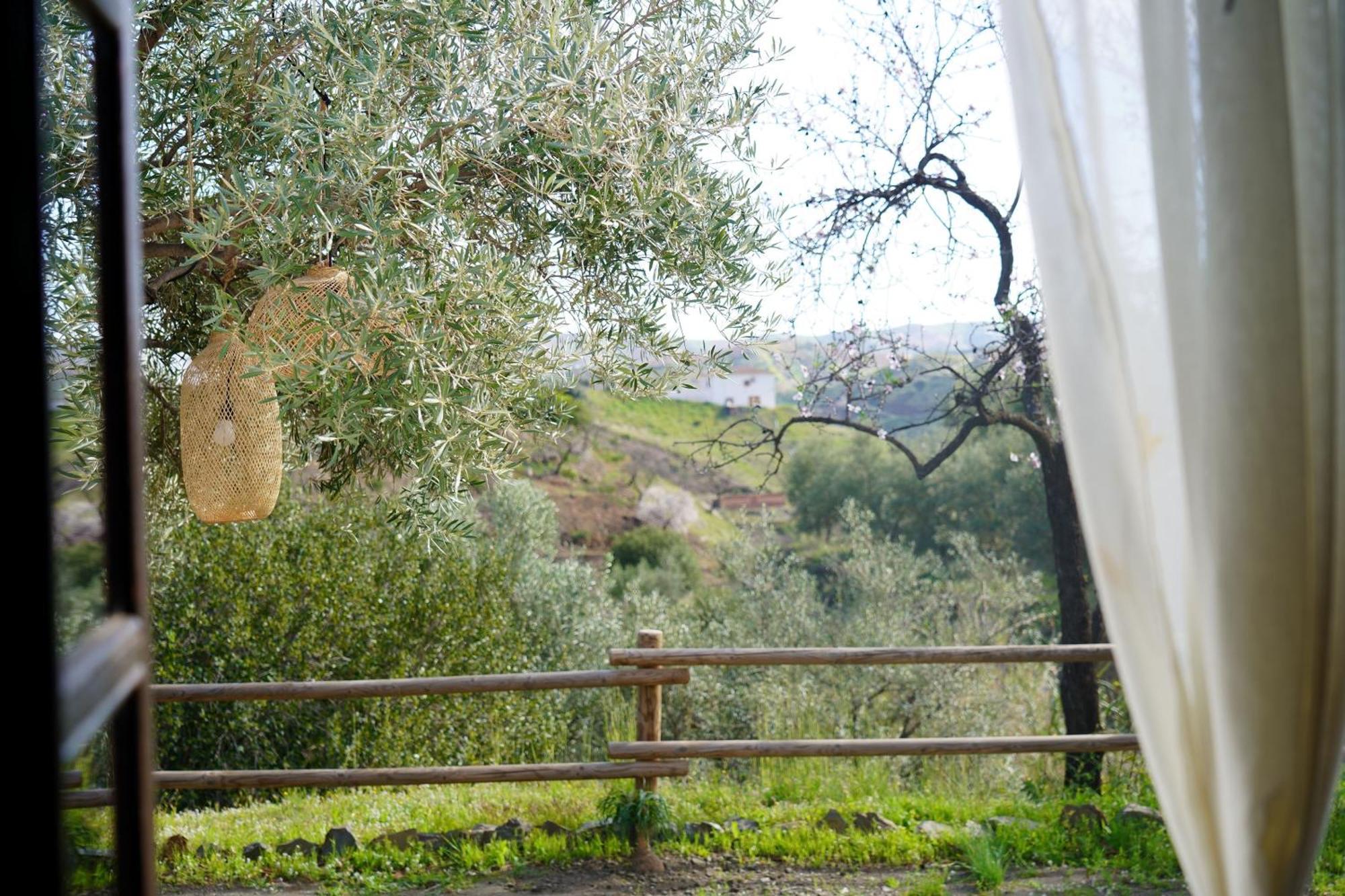 Cortijo Lagar De Luisa Casa de hóspedes Borge Exterior foto