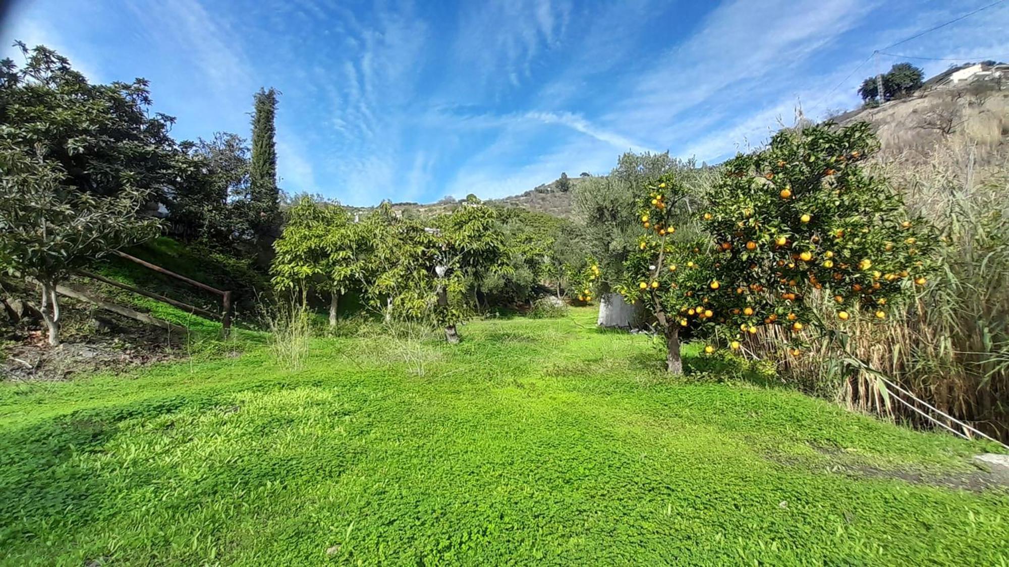 Cortijo Lagar De Luisa Casa de hóspedes Borge Exterior foto
