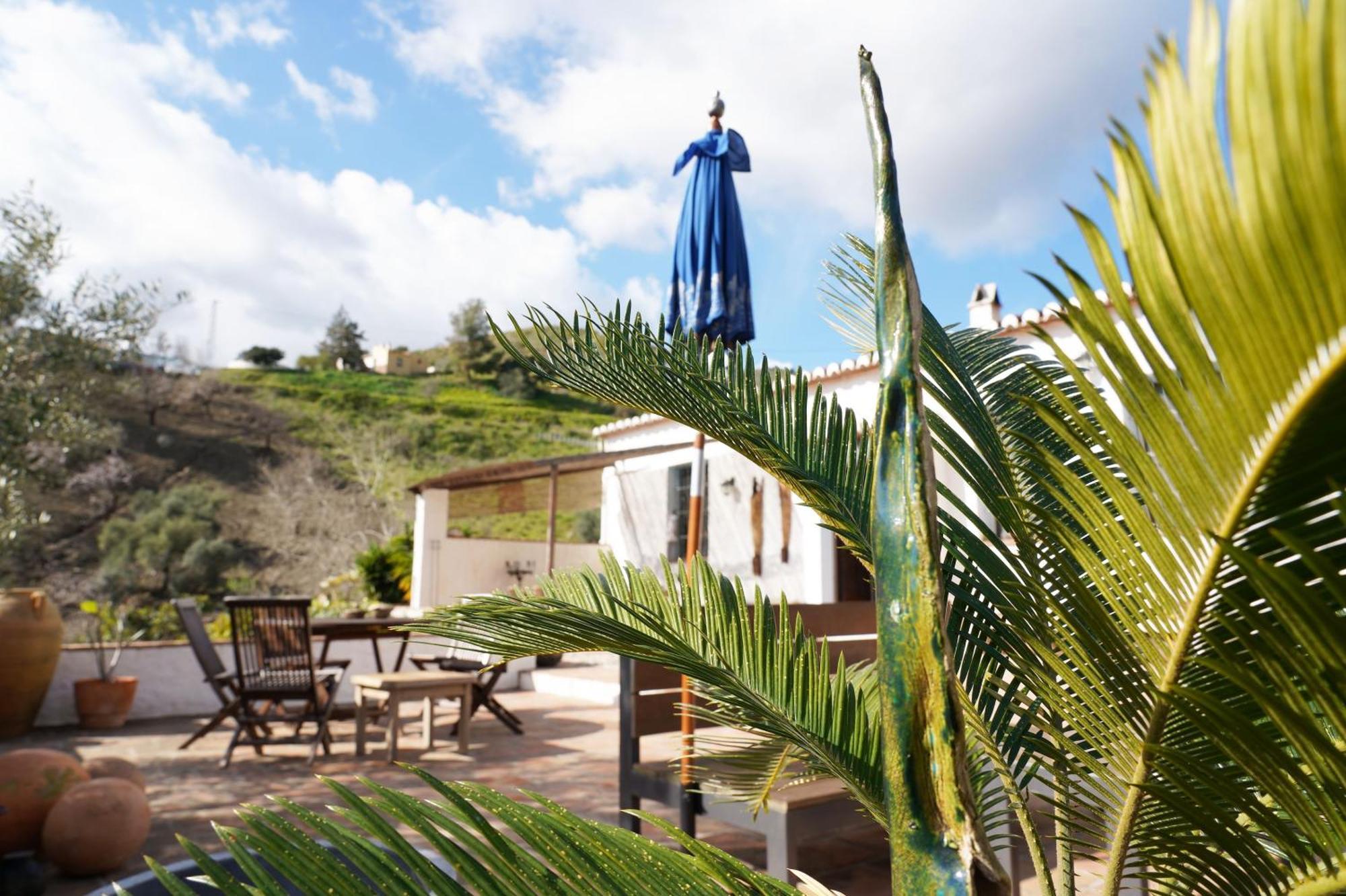 Cortijo Lagar De Luisa Casa de hóspedes Borge Exterior foto