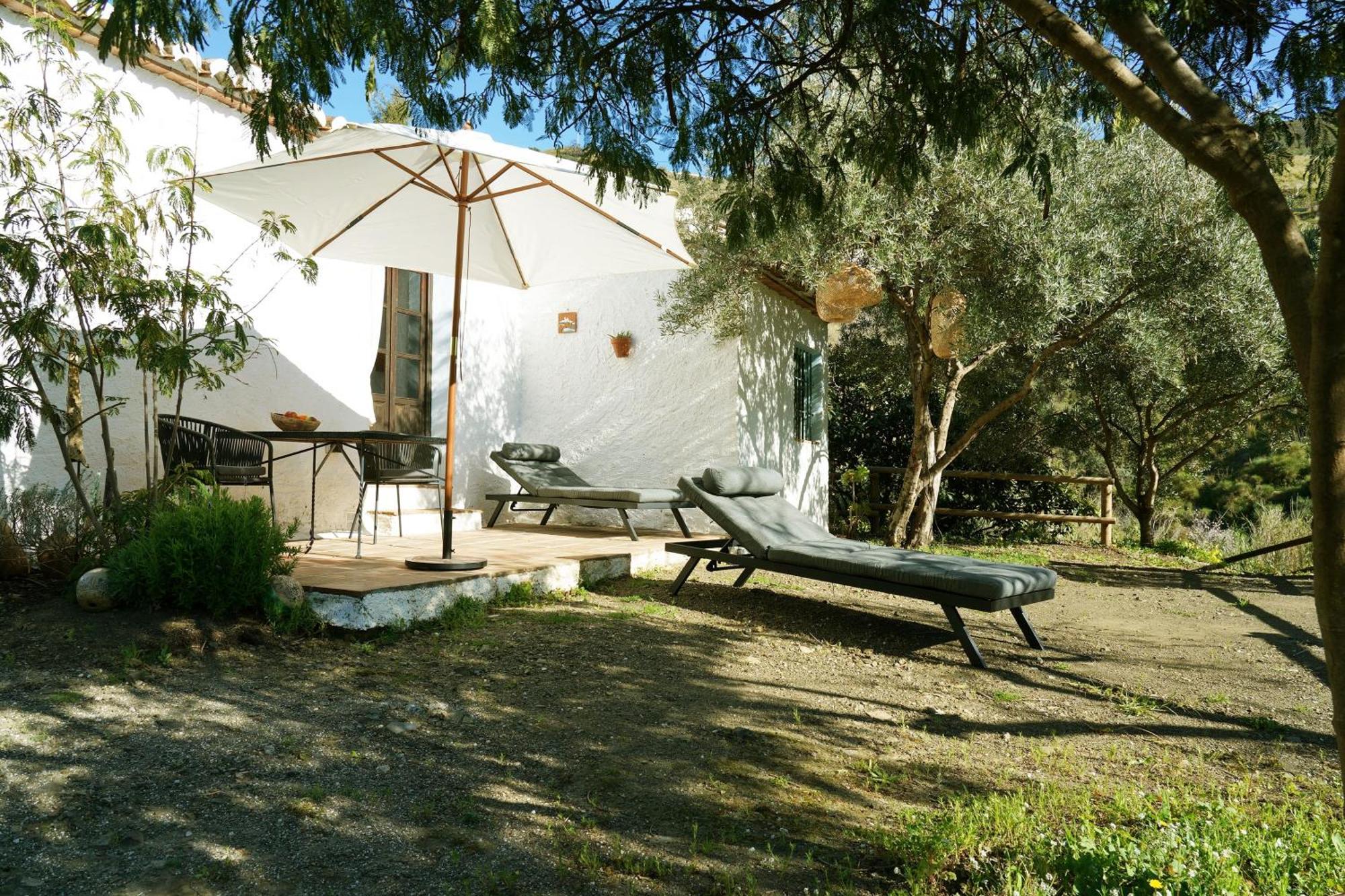 Cortijo Lagar De Luisa Casa de hóspedes Borge Exterior foto