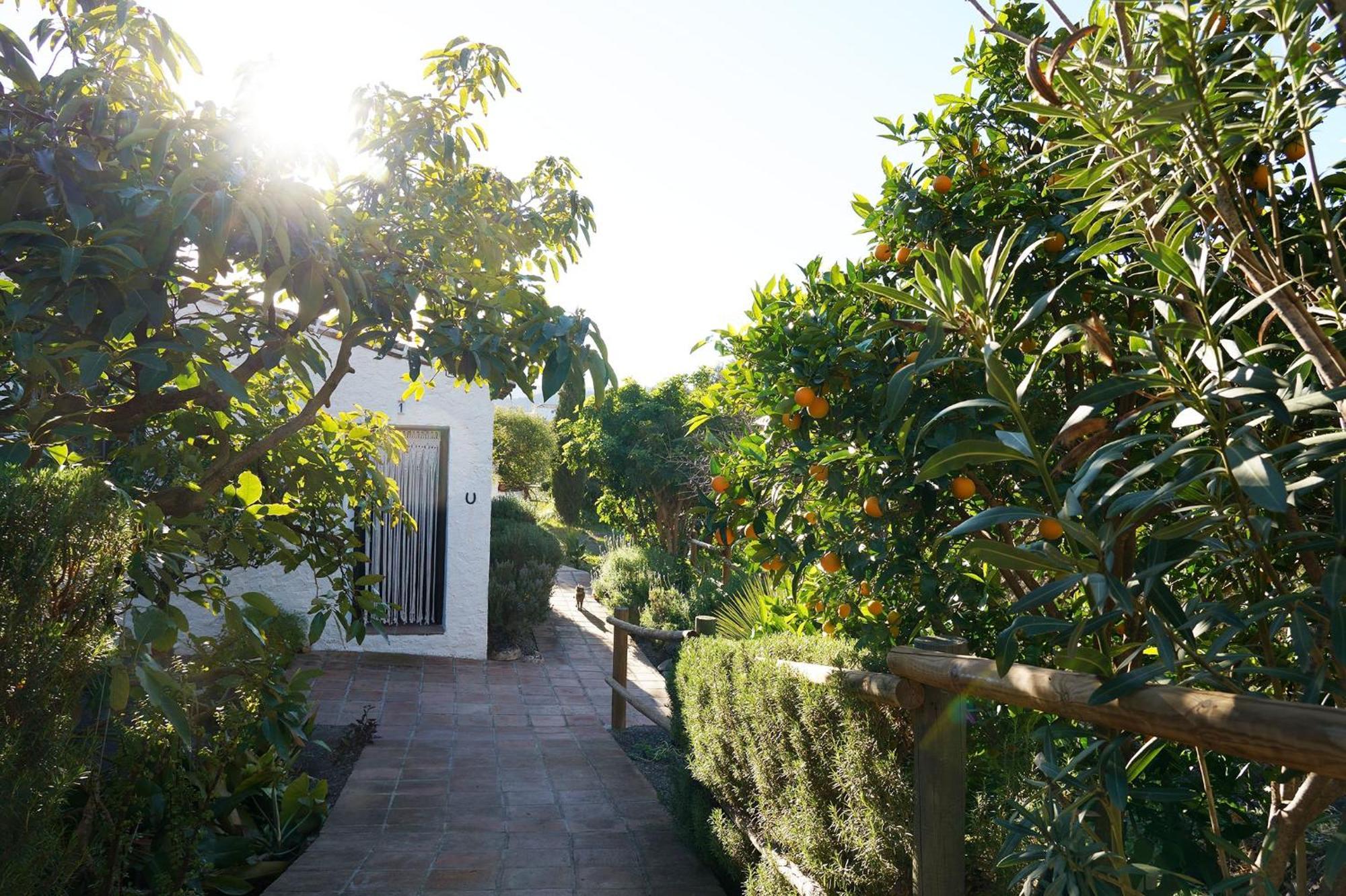 Cortijo Lagar De Luisa Casa de hóspedes Borge Exterior foto