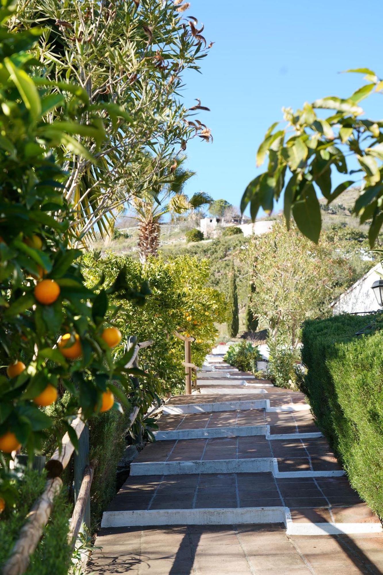 Cortijo Lagar De Luisa Casa de hóspedes Borge Exterior foto