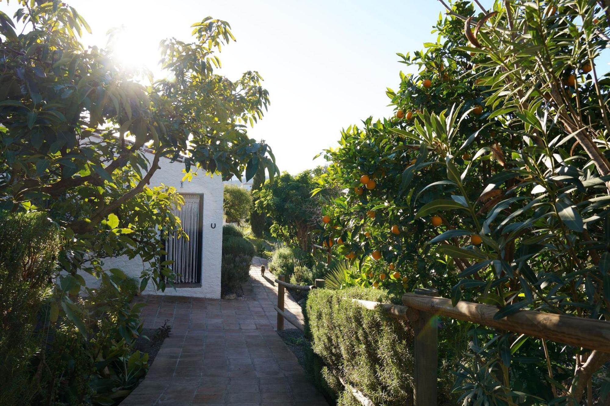Cortijo Lagar De Luisa Casa de hóspedes Borge Exterior foto